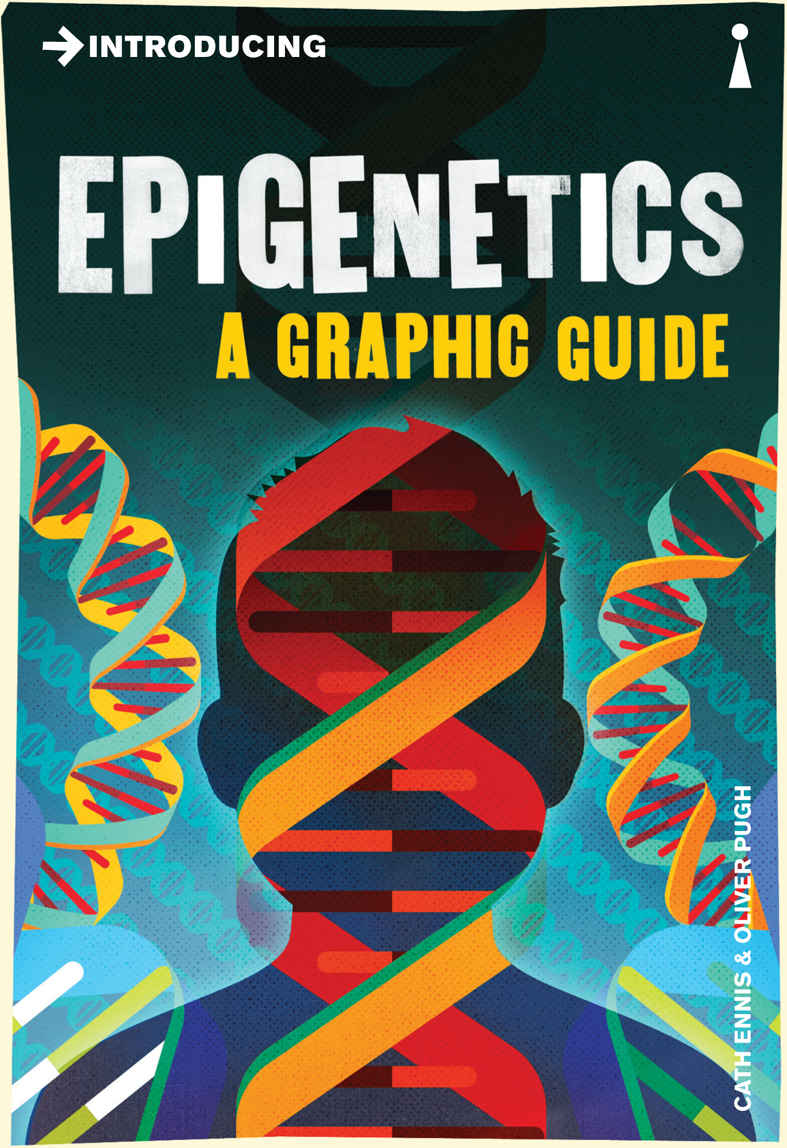 Introducing Epigenetics: A Graphic Guide