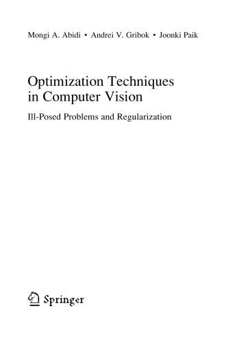 Optimization Techniques in Computer Vision. Ill-posed Problems and Regularization