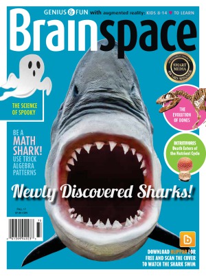 Brainspace