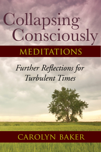 Collapsing Consciously Meditations: Further Reflections for Turbulent Times