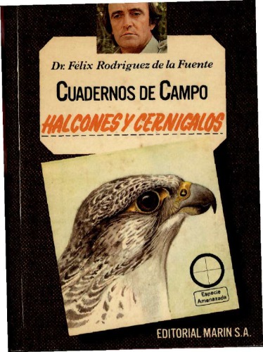 Halcones y cernícalos