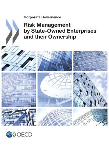 Risk Management by State-Owned Enterprises and their Ownership