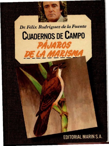 Pájaros de la marisma