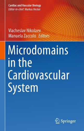 Microdomains in the cardiovascular system