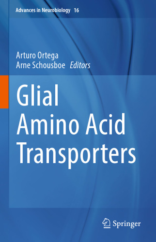 Glial amino acid transporters