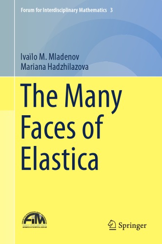 The many faces of elastica
