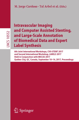 Intravascular imaging and computer assisted stenting, and large-scale annotation of biomedical data and expert label synthesis : 6th Joint International Workshops, CVII-STENT 2017 and second International Workshop, LABELS 2017, held in conjunction with MICCAI 2017, Québec City, QC, Canada, September 10-14, 2017, Proceedings