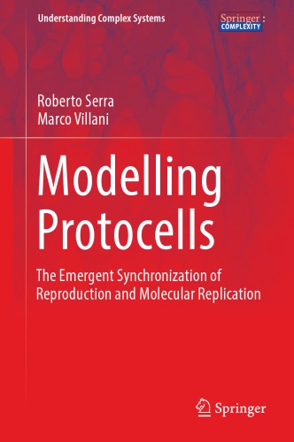 Modelling protocells : the emergent synchronization of reproduction and molecular replication