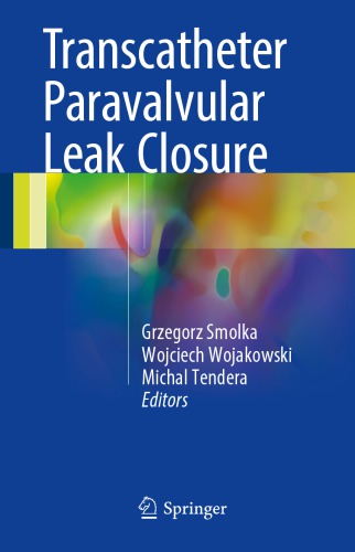 Transcatheter paravalvular leak closure