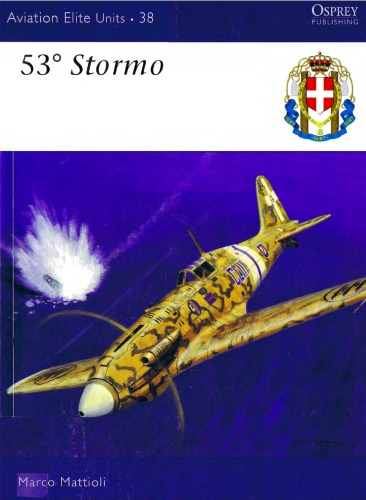 53° Stormo