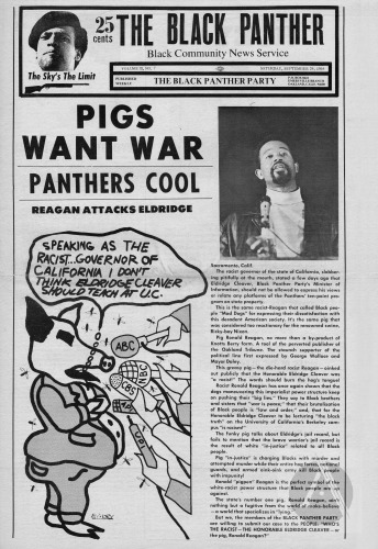 The Black Panther newspaper