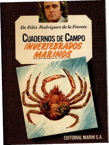Invertebrados marinos