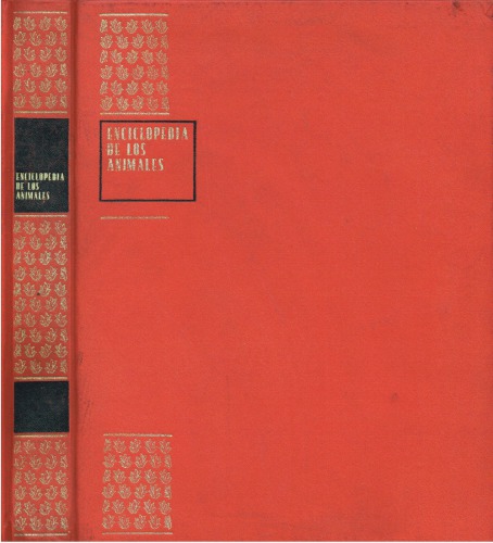 Las Aves: Continuación