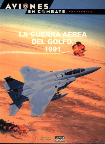 La guerra aérea del Golfo, 1991