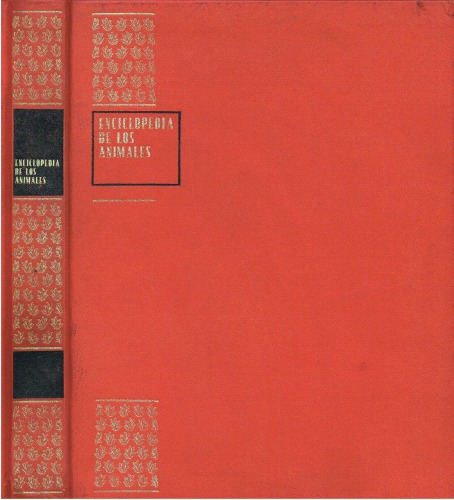 Invertebrados Continuación