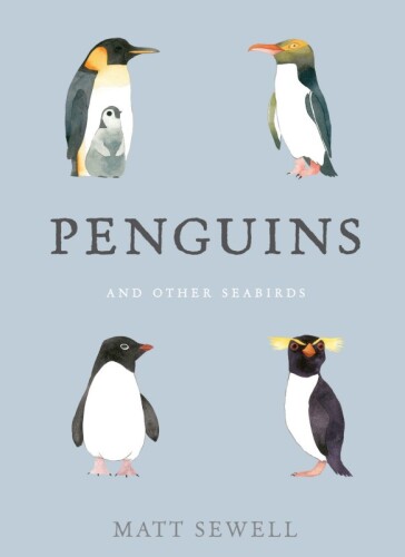 Penguins and Other Sea Birds