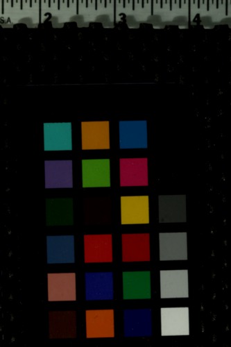 Selected essays and dialogues