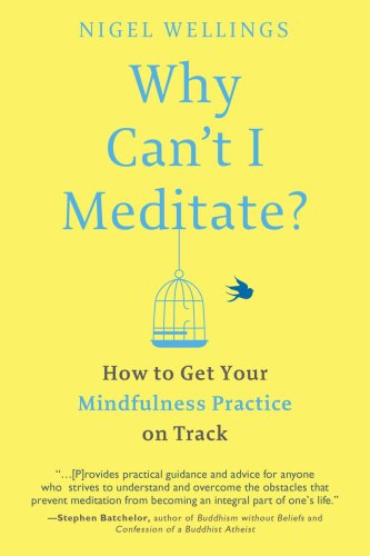 Why Can’t I Meditate?: How to Get Your Mindfulness Practice on Track