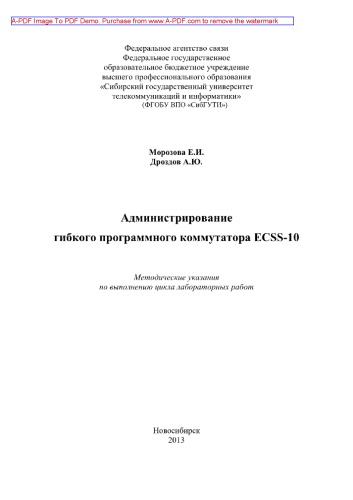 Администрирование гибкого программного коммутатора ECSS-10