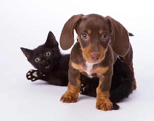 Mattiussi - The Finite Volume, Finite Difference, and Finite Elements Methods as Numerical Methods for Physical Field Problems - FDTD