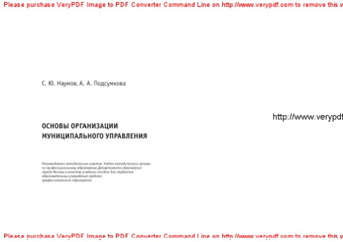 Основы организации муниципального управления