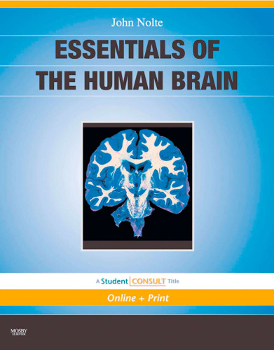 Essentials of the Human Brain