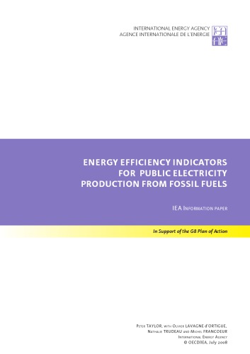 Energy Efficiency Indicators for Public Electricity Production from Fossil Fuels