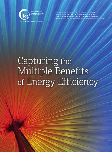 Capturing the multiple benefits of energy efficiency