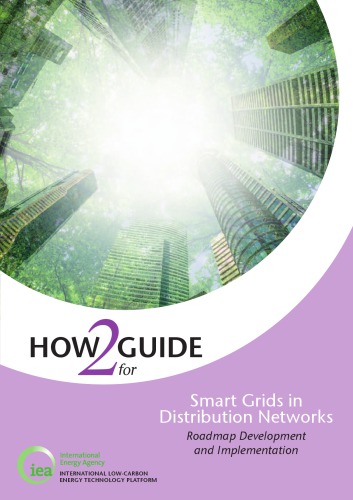 How2guide for smart grids in distribution networks : roadmap development and implementation.