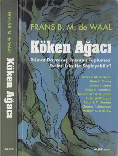 Köken Ağacı