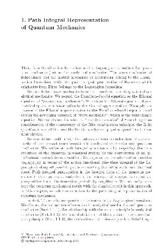 Path integral quantization and stochastic quantization