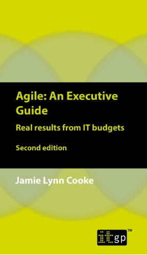 Agile : an executive guide : real results from IT budgets