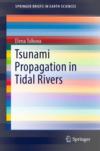 Tsunami Propagation in Tidal Rivers