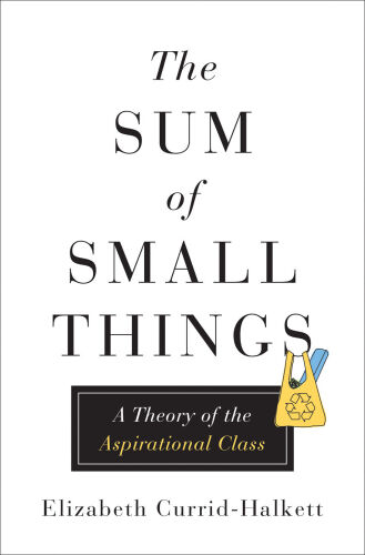 The Sum of Small Things: A Theory of the Aspirational Class