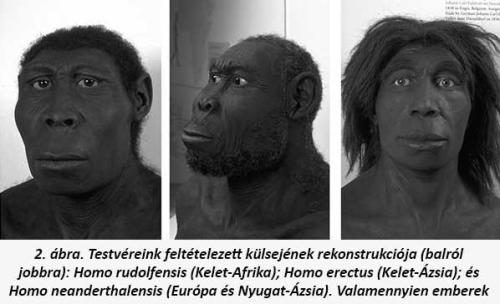 Sapiens. Az emberiség rövid története
