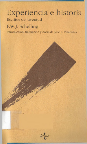 Experiencia e historia : escritos de juventud