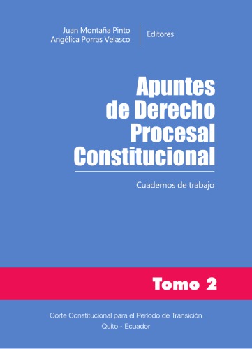 Apuntes de derecho procesal constitucional: aspectos generales. Tomo 2