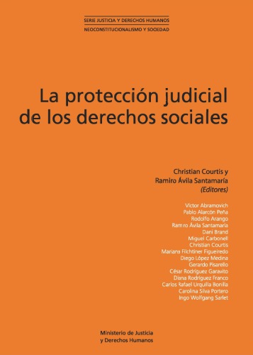 La protección judicial de los derechos sociales