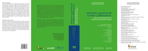 Derechos y garantias de la niñez y adolescencia: Hacia la consolidación de la doctrina de protección integral