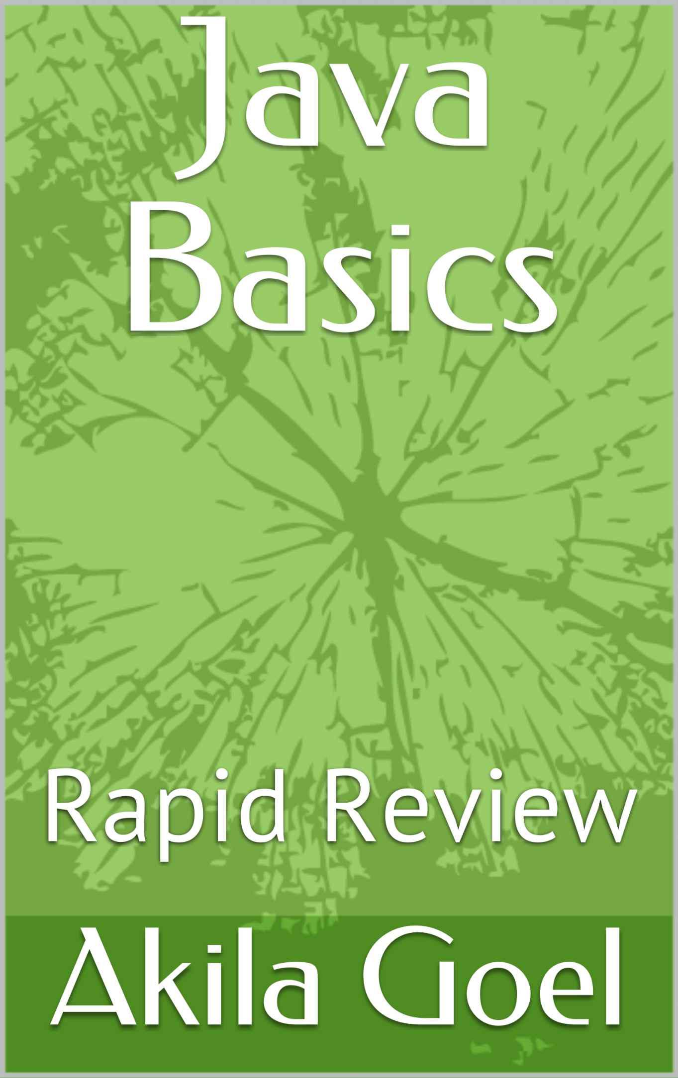 Java Basics: Rapid Review