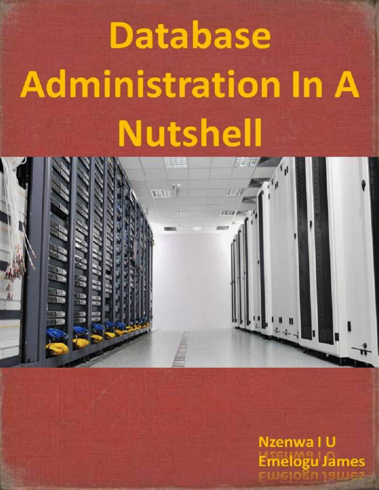 Database Administration In A Nutshell: A Primer Course