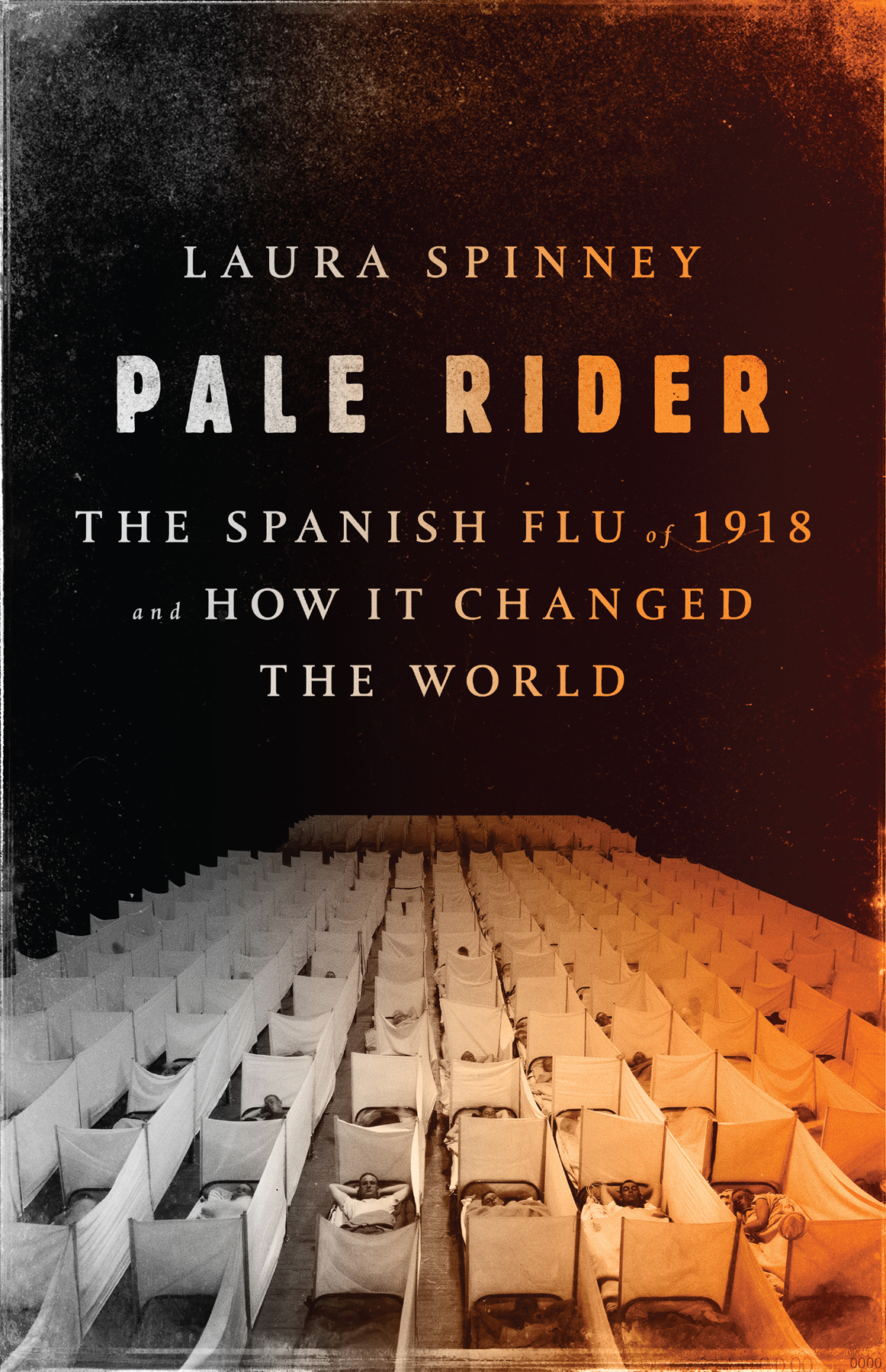 Pale Rider: The Spanish Flu of 1918 and How It Changed the World