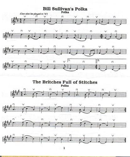 The violin tunes from the videoguide on 2 DVDs 