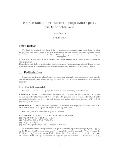 Représentations irréductibles du groupe symétrique et dualité de Schur-Weyl