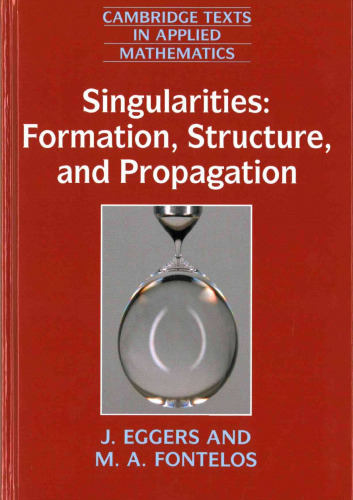 Singularities: Formation, Structure, and Propagation