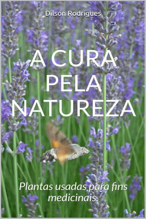 A cura pela natureza: Plantas usadas para fins medicinais.