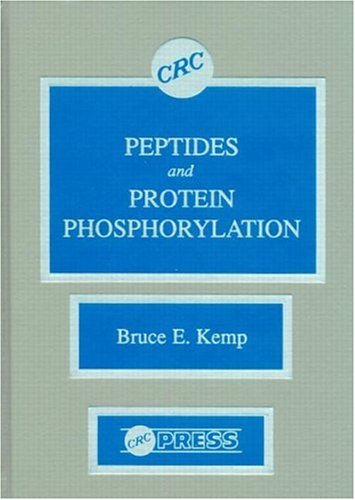Peptides and protein phosphorylation