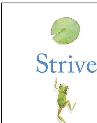 Strive: How Doing The Things Most Uncomfortable Leads to Success