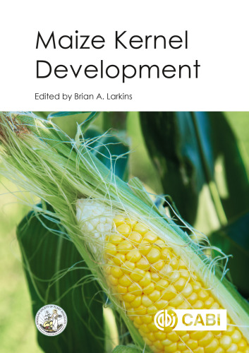 Maize kernel development