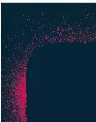 Researching Urban Youth Language and Identity